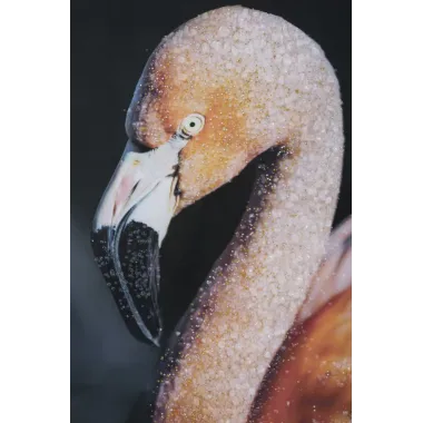 DRUK NA PŁÓTNIE Z APLIKACJAMI -B- FLAMINGO 120X3,8X80 cm